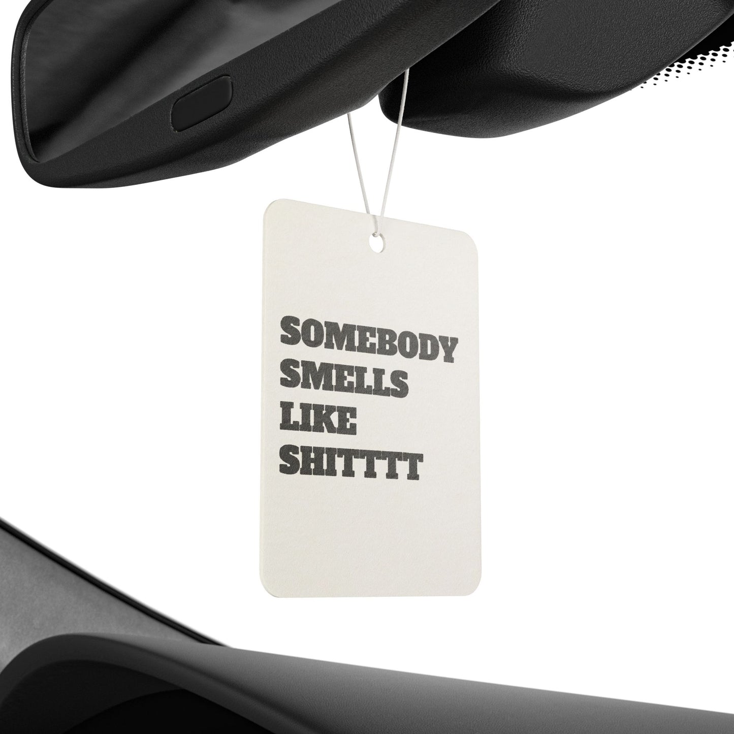 "SOMEBODY SMELLS LIKE SHITTTT" Car Air Freshener