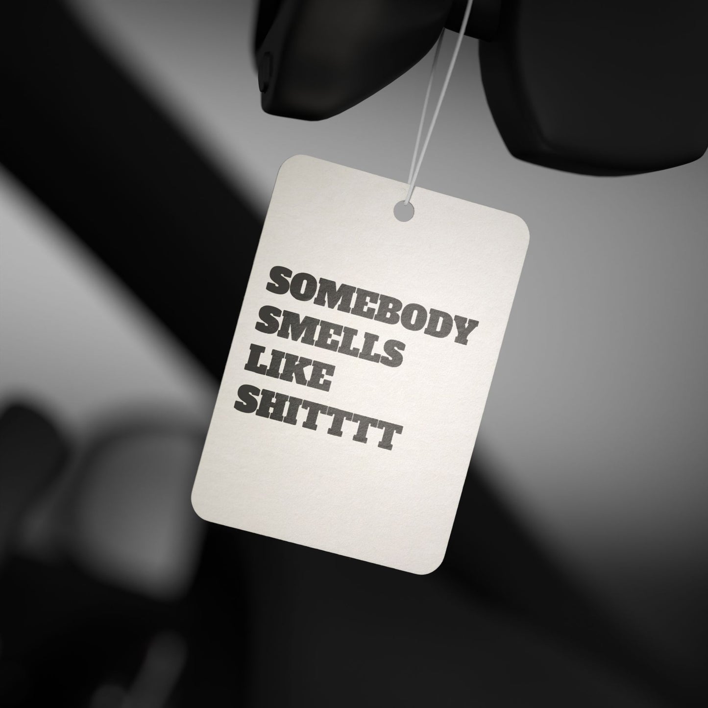 "SOMEBODY SMELLS LIKE SHITTTT" Car Air Freshener