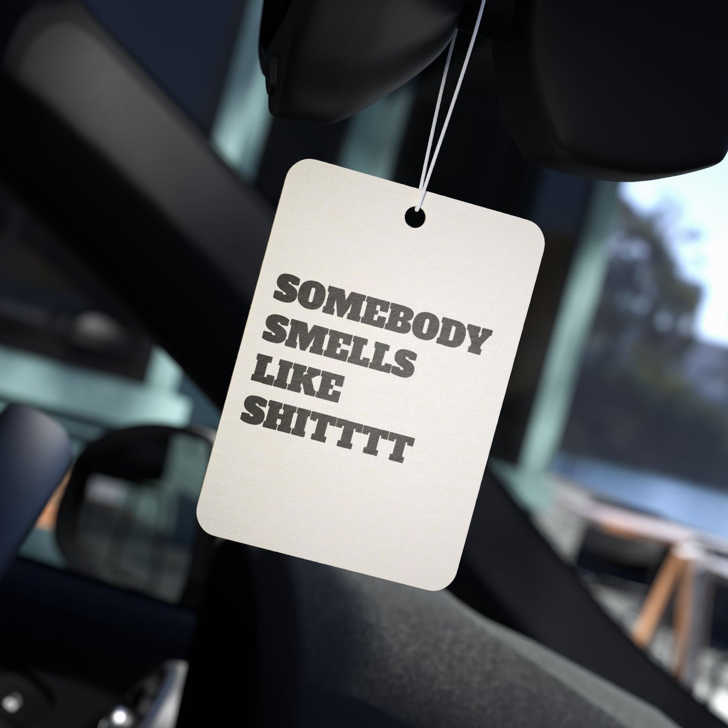 "SOMEBODY SMELLS LIKE SHITTTT" Car Air Freshener